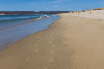 sunny pristine and deserted beach overlooking the South Pacific Ocean
