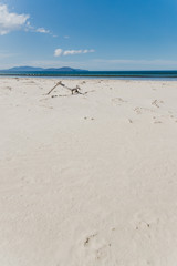 tree branch on the sand on sunny pristine and deserted beach overlooking the South Pacific Ocean