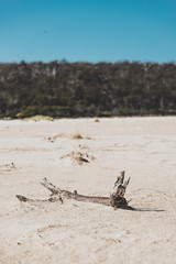 deserted sand beach in Marion Bay in Australia