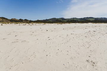 deserted sand beach in Marion Bay in Australia