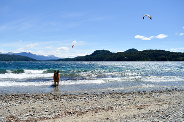 kitesurfing on lake with dog