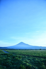 Fototapeta premium 富士山と新幹線