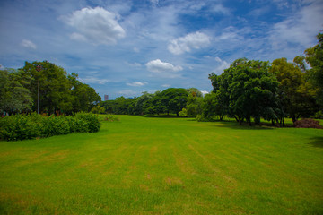 Chatuchak Railway Park is a public resting place with green trees bule sky