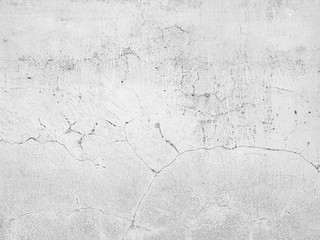 concrete wall / コンクリート