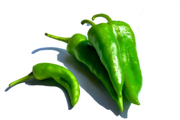 green chili pepper on white background