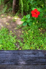 wood table on blur of garden background, can used for display or montage your products