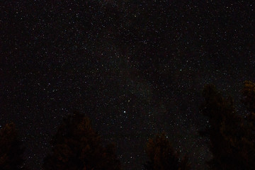 Milky Way galaxy in the Pacific Northwest summer 2019 with trees