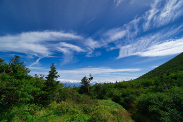 Fototapeta premium 岩手県 岩手山 百名山