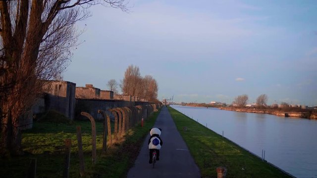 Panda driving a Minerva bycicle in 4k