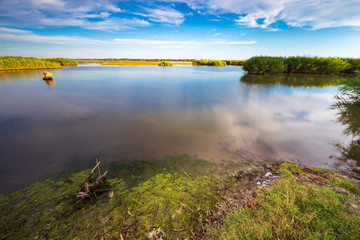 The marshlands or wetlands of Camargue at sunset, the Tourradons bridge in Le Cailar, Gard, around...