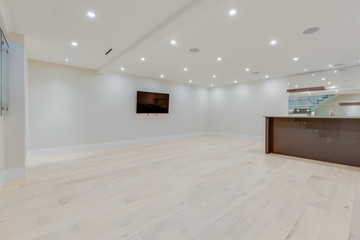 Interior design of a lower level room in the newly built house  for use as a game room or party room.