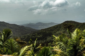Fototapeta na wymiar View of the rain forest in El Yunque National Park in Puerto Rico