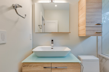 Obraz na płótnie Canvas Interior design of a modern bathroom in a newly built house or apartment, hotel room.