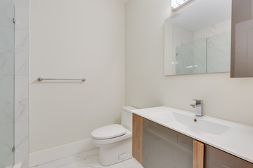 Naklejka na ściany i meble Interior design of a modern bathroom in a newly built house or apartment, hotel room.