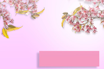 Pink flower for summer card background