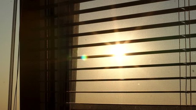 Sunrise behind the window blinds and mosquito net. Rising sun behind window blinds. Sunlight behind vertical blinds.