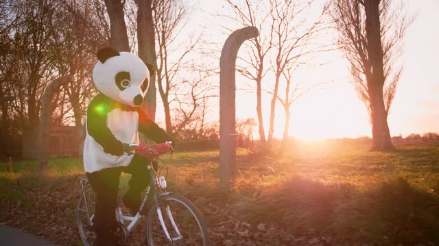 Panda driving a Minerva bycicle with flowers in 4k