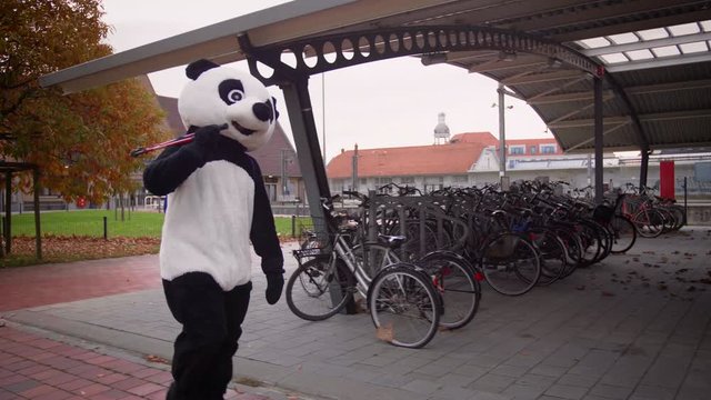 A Badass panda is trying to steal a bicycle in 4K