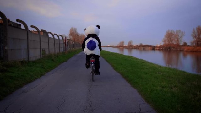 Panda driving a Minerva bycicle in 4k