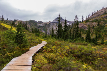 road in mountains