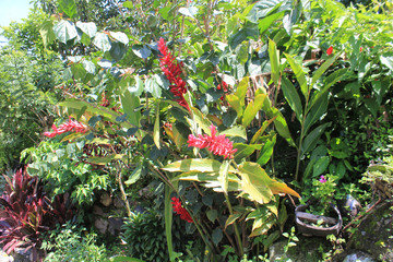 Jardín