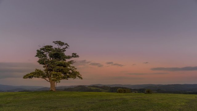 Time lapse of an abandoned tree on a hill at dark sunset with the rising moon in full moon over the horizon between nature and landscape overlooking dark moody clouds capture in high resolution.
