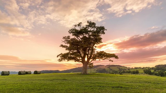 Time lapse of an abandoned tree when sun rays pass through the center of the trunk and orange clouds staying at sunset overlooking the countryside and hay on the edge of captured in Beskids nature