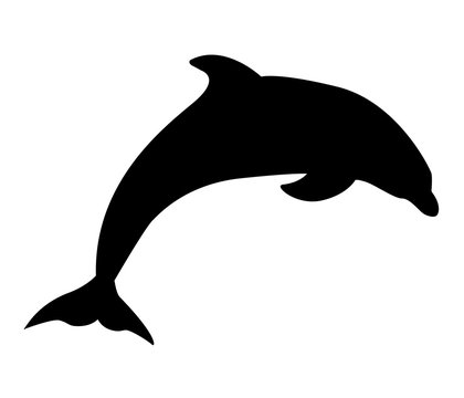 dolphin aquatic mammal icon on white background. flat style. dolphin icon for your web site design, logo, app, UI. dolphin symbol.
