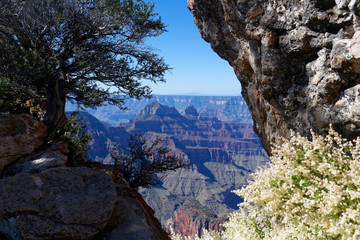 Fototapeta na wymiar Vista of the North Rim of the Grand Canyon