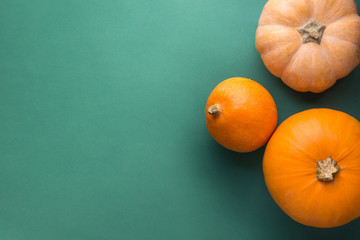 Different kinds of pumpkins on dark green background. Thanksgiving fall harvest abundance concept. Rustic style minimalist poster with copy space