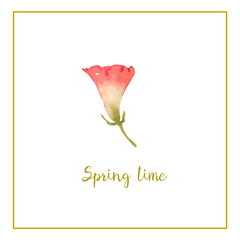 Fototapeta premium The watercolor composition of the wolka’s flower is hand-painted with watercolor paints and is perfect for all types of design and printing