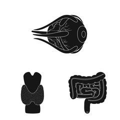 Vector design of research and laboratory icon. Collection of research and organ stock symbol for web.