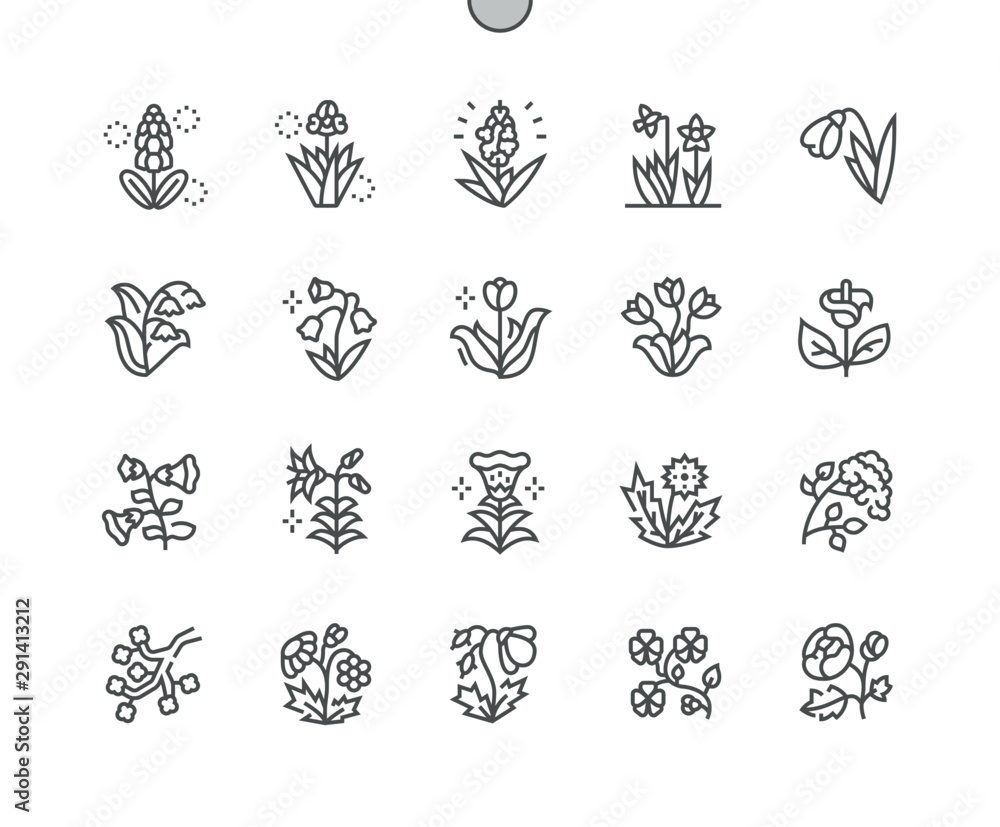 Poster spring flowers well-crafted pixel perfect vector thin line icons 30 2x grid for web graphics and app