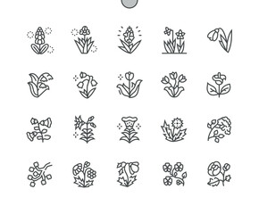 Spring flowers Well-crafted Pixel Perfect Vector Thin Line Icons 30 2x Grid for Web Graphics and Apps. Simple Minimal Pictogram