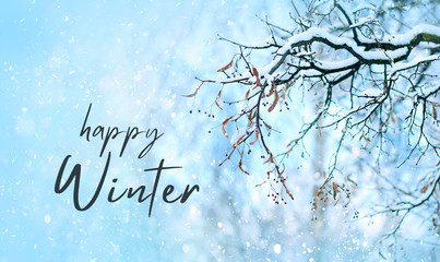 Happy winter. Tree branches in snow. snowy winter season landscape. snowy weather. soft selective...