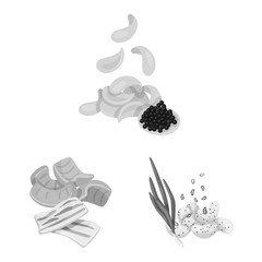 Vector design of taste and cooking symbol. Collection of taste and seasonin vector icon for stock.