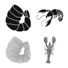 Vector design of appetizer and ocean symbol. Set of appetizer and delicacy vector icon for stock.