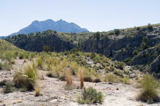 Beautiful alpine landscape, green mountain enviroment and blue sky in a sunny day