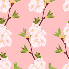 Beautiful sakura cherry blossom flower seamless pattern