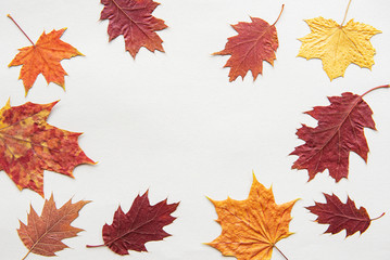 Fototapeta premium Autumn composition