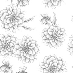 Seamless pattern with dahlia flower sketch style