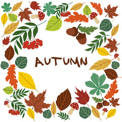 Set for design with autumn leaves