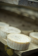 cheese handmade