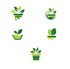 pot with plants and hand vector logo