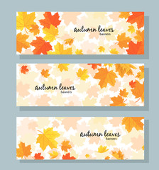 Set of three horizontal banners with autumn maple leaves on white background