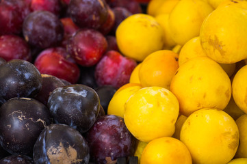 Ripe yellow, red and burgundy plums on a dish. Summer fruits.