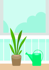 Vector illustration of a flower in a pot by the window and a watering can, sansevieriya