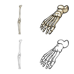 Isolated object of medicine and clinic symbol. Collection of medicine and medical stock symbol for web.