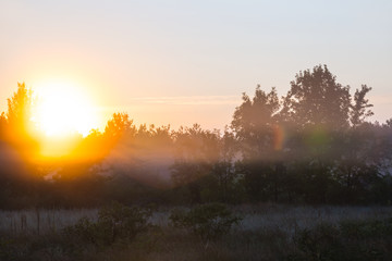 Fototapeta na wymiar quiet prairie at the sunrise, early morning outdoor scene