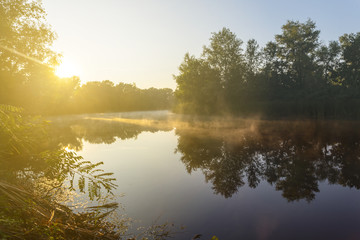 Naklejka na ściany i meble quiet summer river in the early morning mist at the sunrise